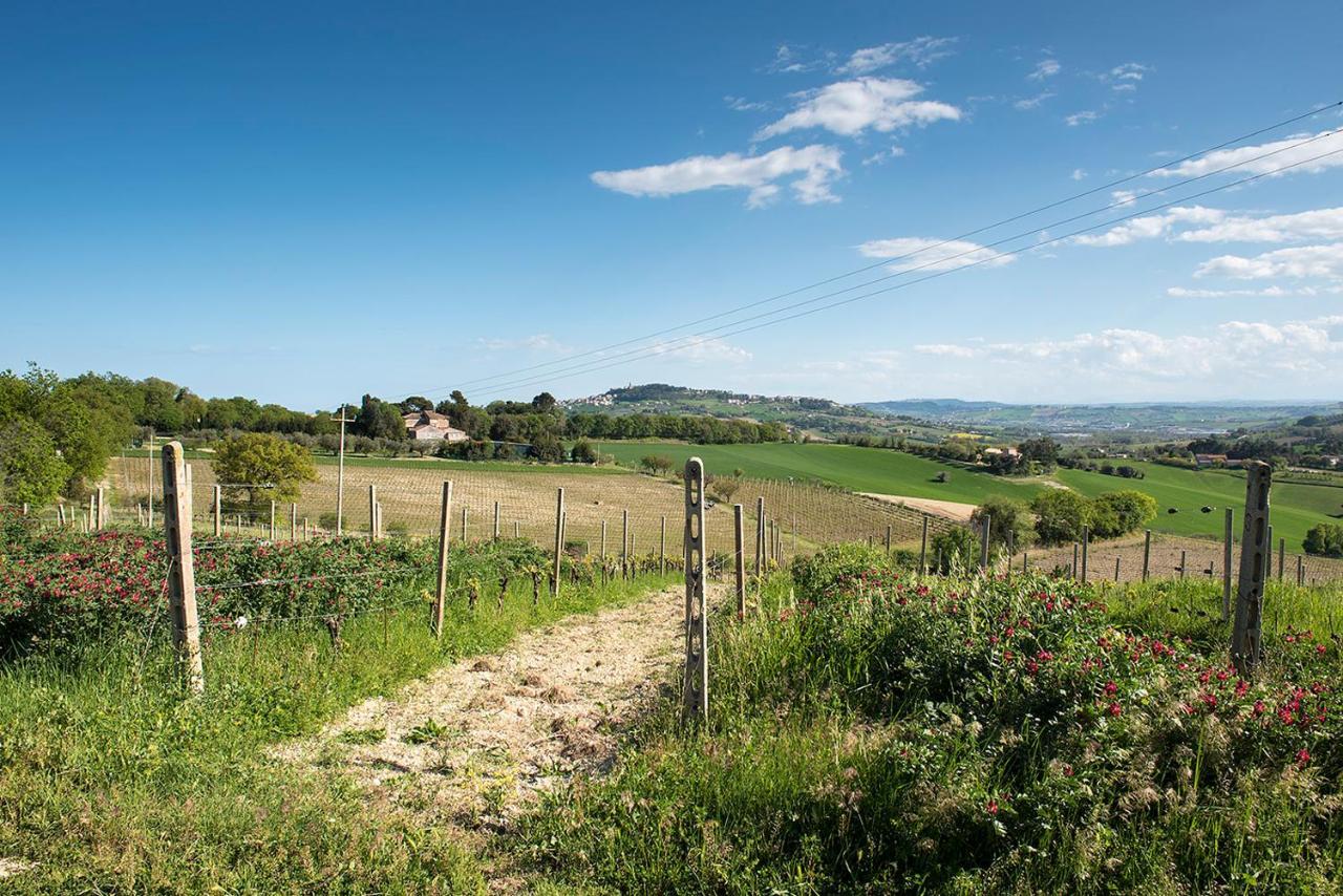 A11 - Varano, Delizioso Trilocale Con Giardino Анкона Экстерьер фото
