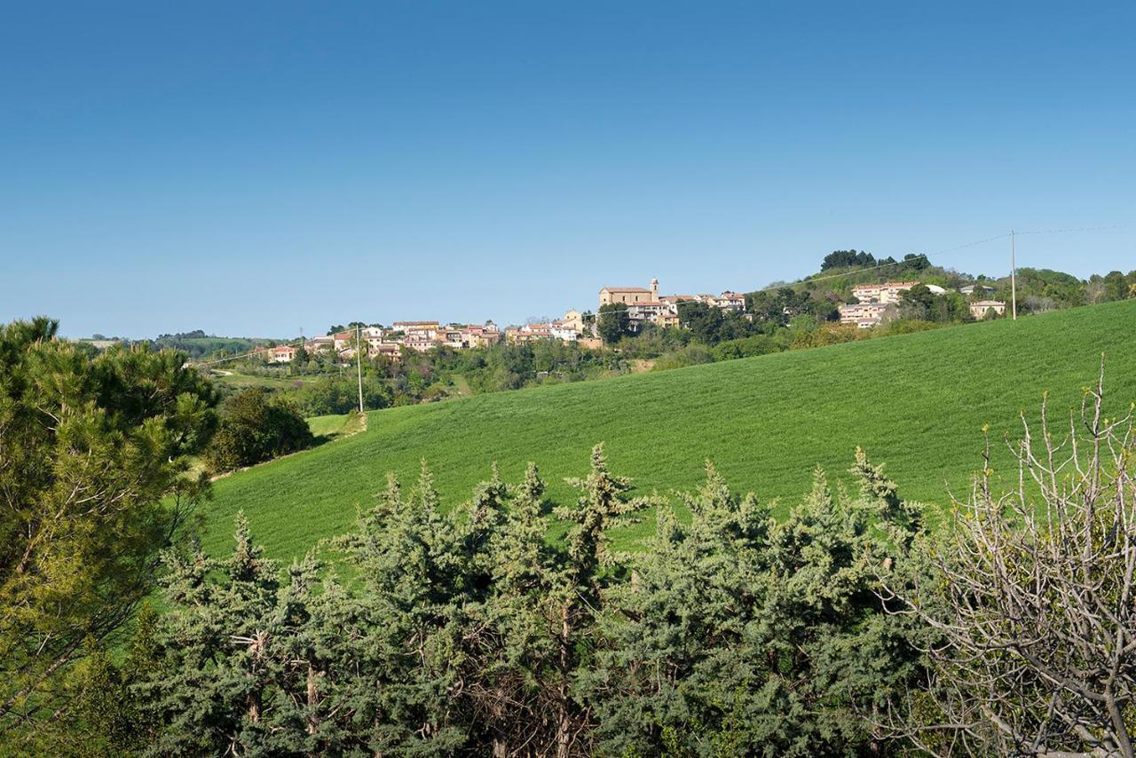 A11 - Varano, Delizioso Trilocale Con Giardino Анкона Экстерьер фото