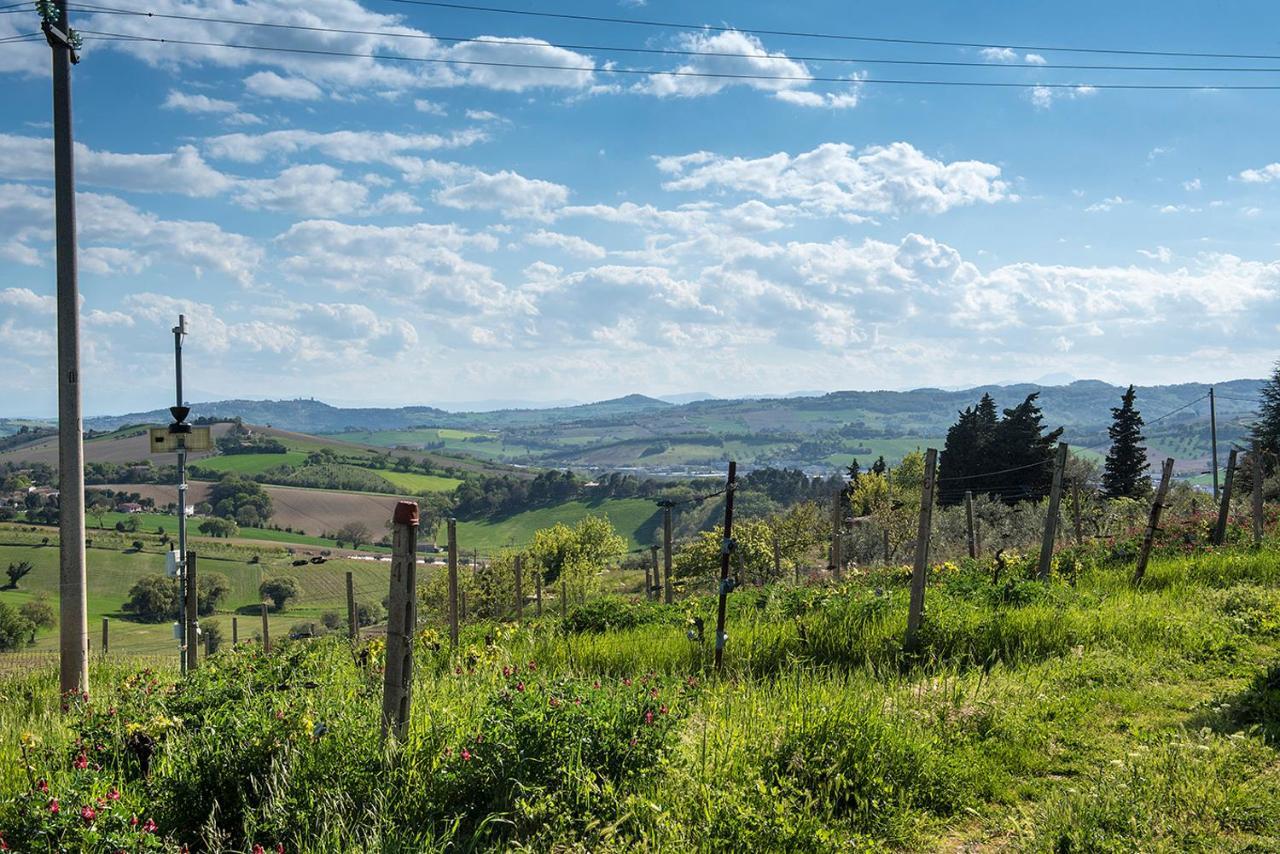 A11 - Varano, Delizioso Trilocale Con Giardino Анкона Экстерьер фото