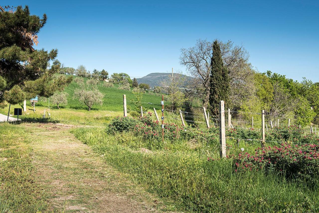 A11 - Varano, Delizioso Trilocale Con Giardino Анкона Экстерьер фото